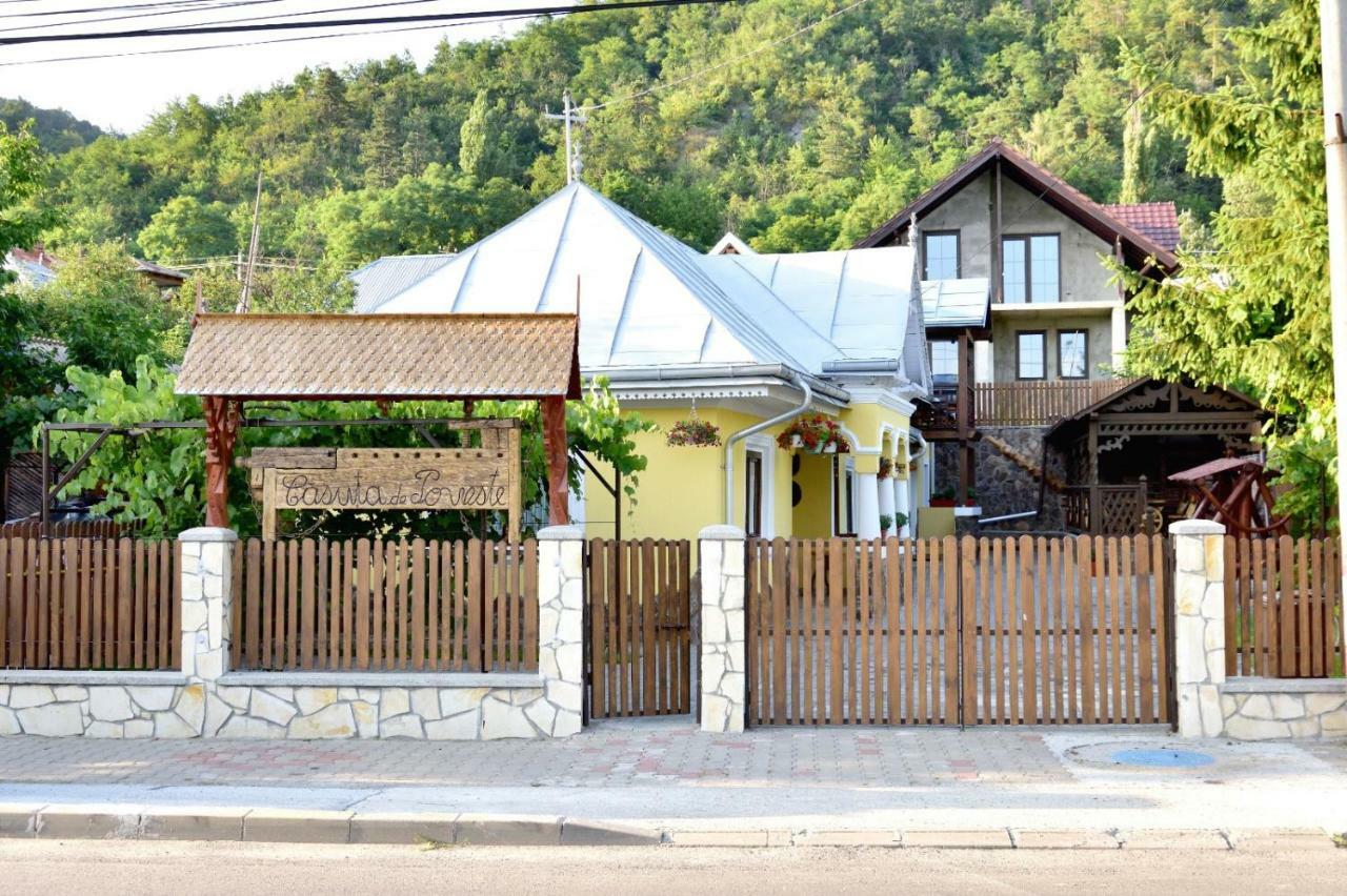 Casuta De Poveste Villa Târgu Neamț Exteriör bild